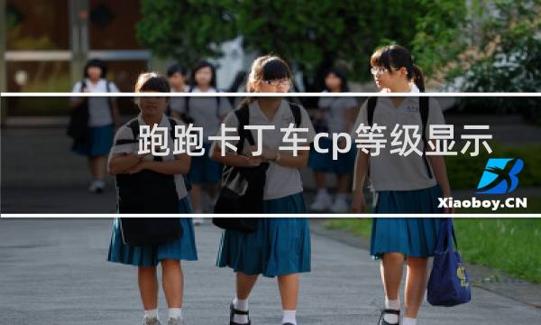 跑跑卡丁车cp等级显示