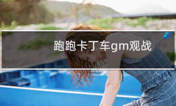 跑跑卡丁车gm观战