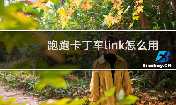 跑跑卡丁车link怎么用