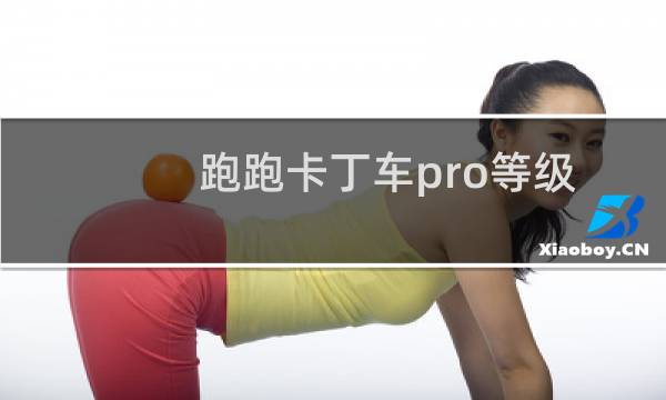 跑跑卡丁车pro等级