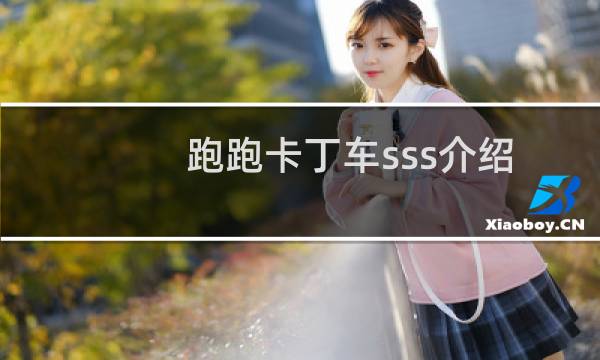 跑跑卡丁车sss介绍