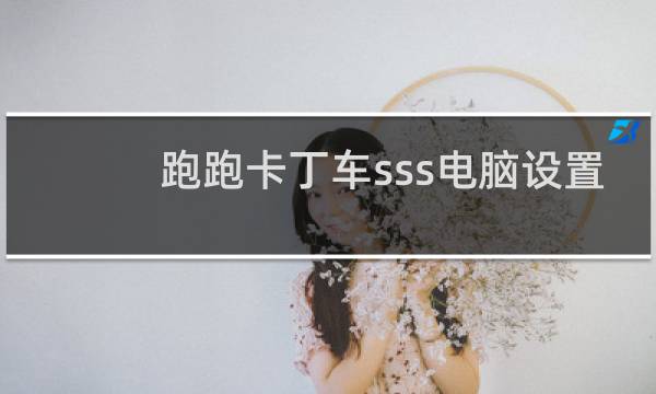 跑跑卡丁车sss电脑设置