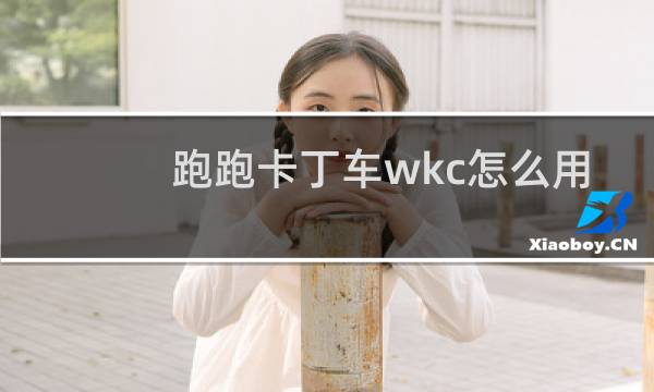 跑跑卡丁车wkc怎么用
