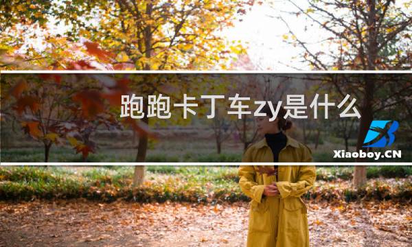 跑跑卡丁车zy是什么