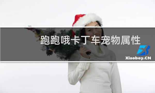 跑跑哦卡丁车宠物属性