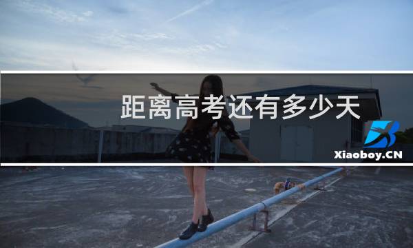 距离高考还有多少天