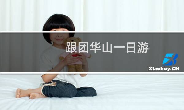 跟团华山一日游
