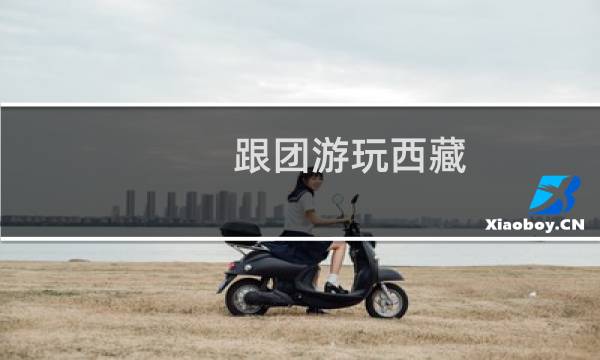 跟团游玩西藏