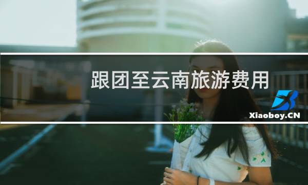跟团至云南旅游费用