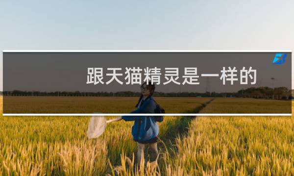 跟天猫精灵是一样的