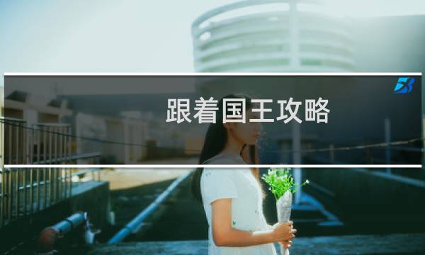 跟着国王攻略