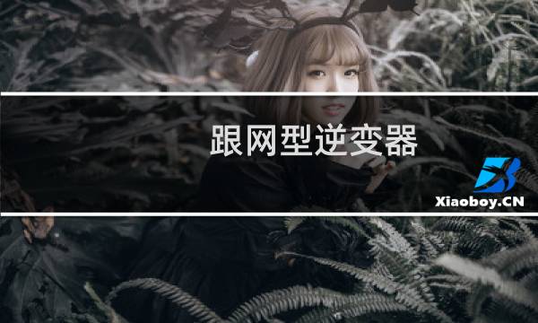 跟网型逆变器