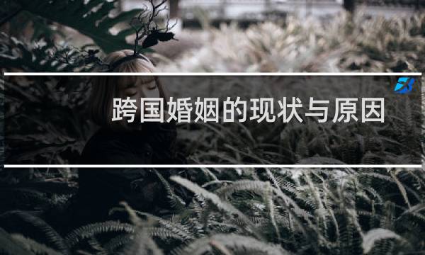跨国婚姻的现状与原因