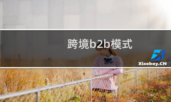 跨境b2b模式
