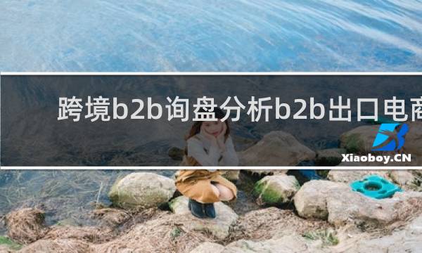 跨境b2b询盘分析b2b出口电商