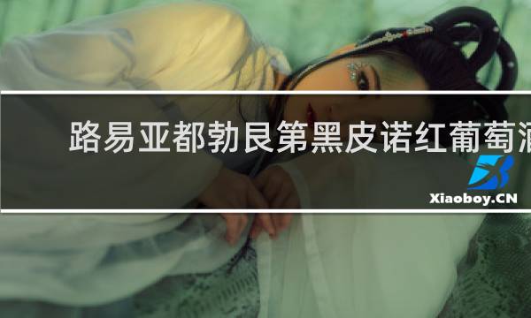 路易亚都勃艮第黑皮诺红葡萄酒