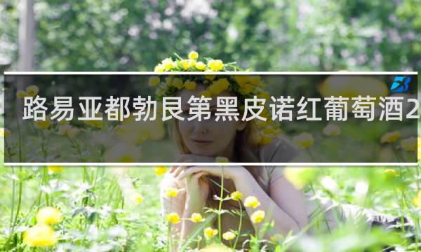 路易亚都勃艮第黑皮诺红葡萄酒2019