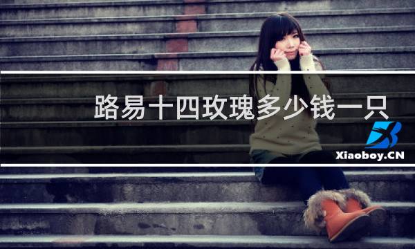 路易十四玫瑰多少钱一只