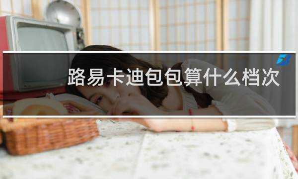 路易卡迪包包算什么档次