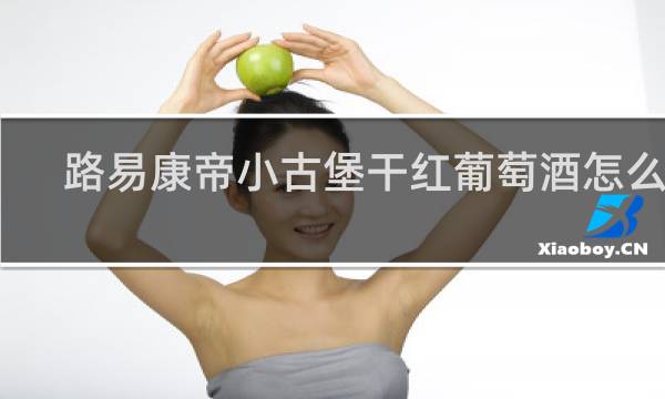 路易康帝小古堡干红葡萄酒怎么样