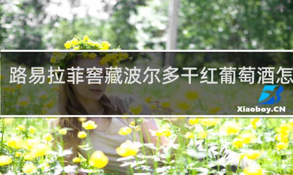 路易拉菲窖藏波尔多干红葡萄酒怎么样