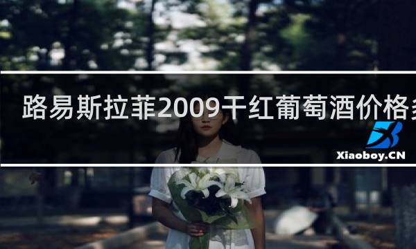 路易斯拉菲2009干红葡萄酒价格多少