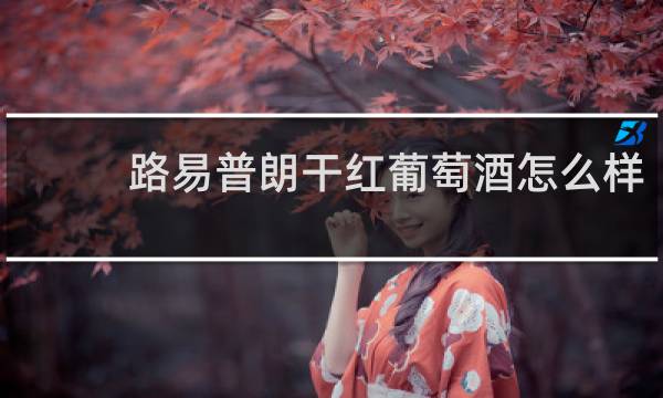路易普朗干红葡萄酒怎么样