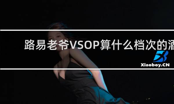 路易老爷VSOP算什么档次的酒