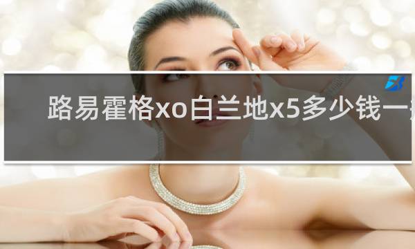 路易霍格xo白兰地x5多少钱一瓶