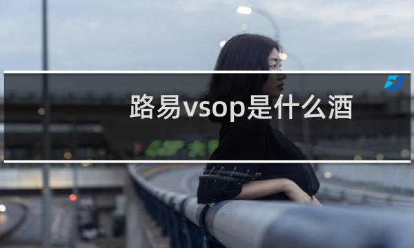 路易vsop是什么酒