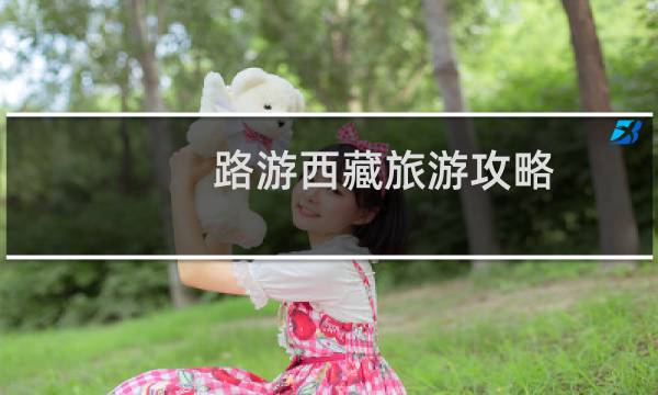 路游西藏旅游攻略