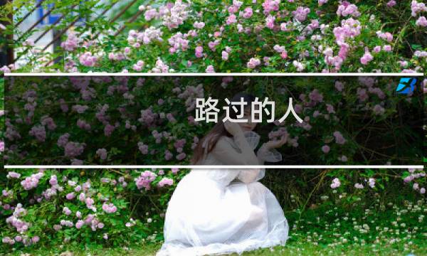 路过的人 艾尔登法环