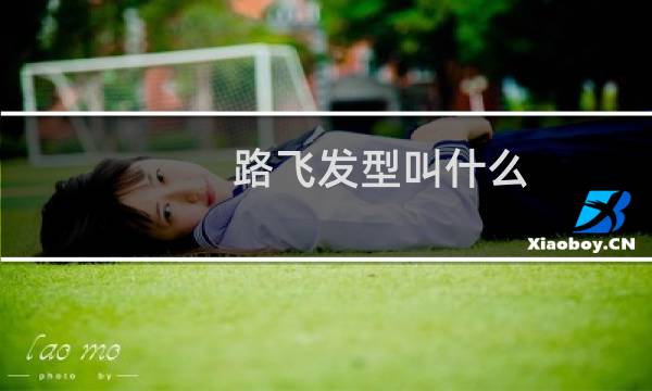 路飞发型叫什么