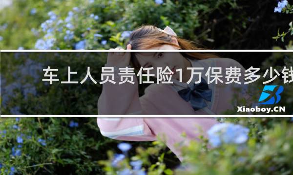 车上人员责任险1万保费多少钱