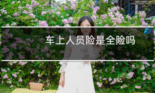 车上人员险是全险吗