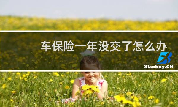 车保险一年没交了怎么办