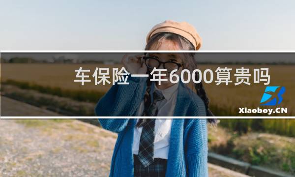 车保险一年6000算贵吗