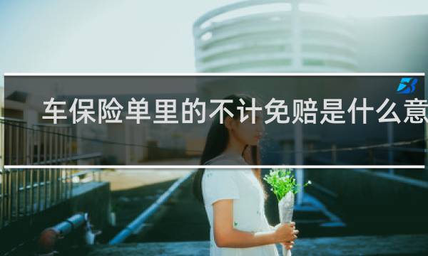 车保险单里的不计免赔是什么意思