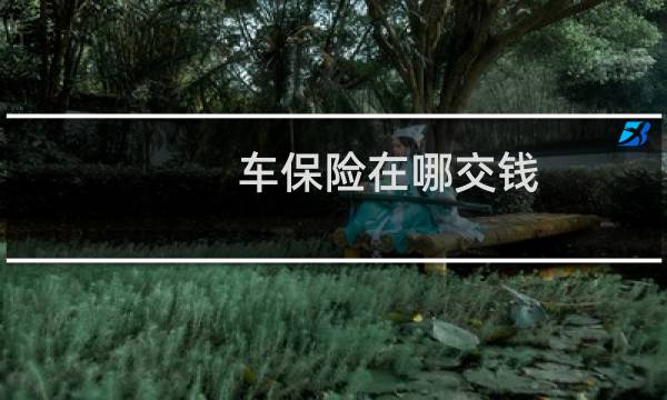 车保险在哪交钱