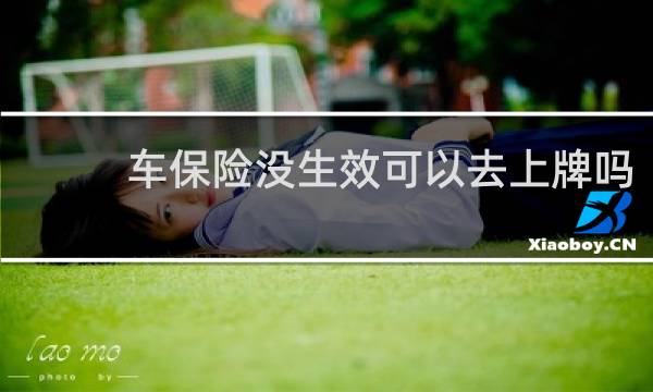 车保险没生效可以去上牌吗