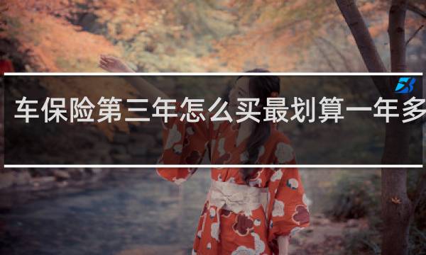 车保险第三年怎么买最划算一年多少钱