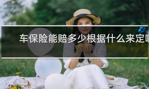 车保险能赔多少根据什么来定啊