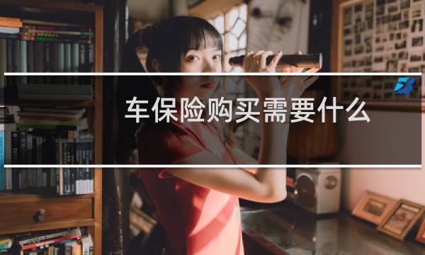 车保险购买需要什么