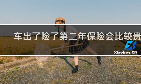 车出了险了第二年保险会比较贵吗