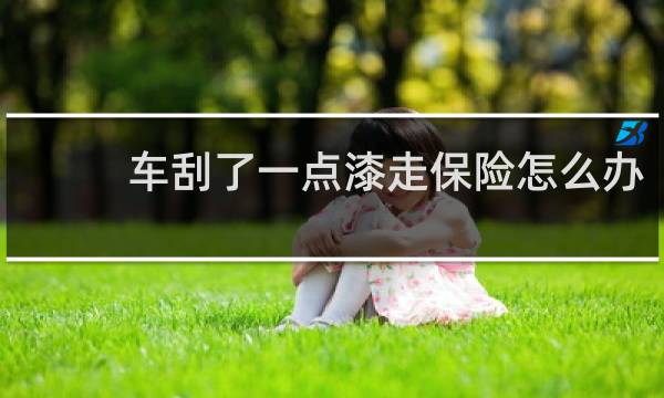 车刮了一点漆走保险怎么办
