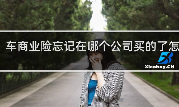 车商业险忘记在哪个公司买的了怎么查