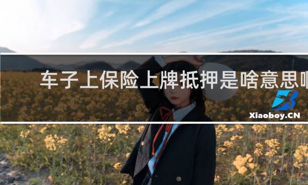 车子上保险上牌抵押是啥意思啊