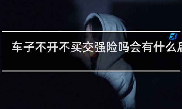 车子不开不买交强险吗会有什么后果