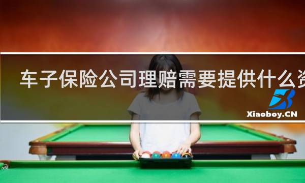 车子保险公司理赔需要提供什么资料