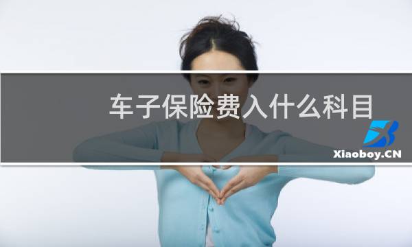 车子保险费入什么科目